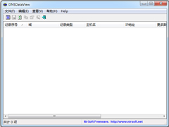 DNSDataView绿色中文版(DNS记录批量查询) V1.60