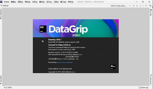 DataGrip 2022激活破解版 V2022.2