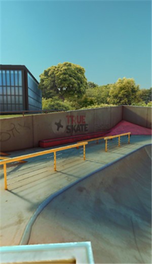 True Skate