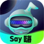 Say嗨元宇宙正版 V1.0.2