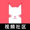 猫咪视频ios版 V2.2