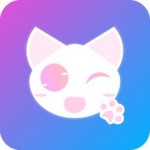 猫咪视频免费版 V1.0