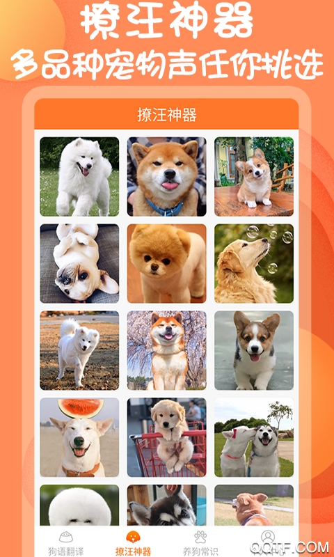 人狗交流器助手app安卓版