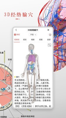 3d人体解剖学