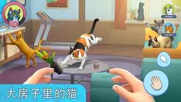 我的宠物猫模拟器