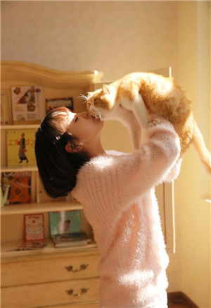 pr九尾狐正能量视频