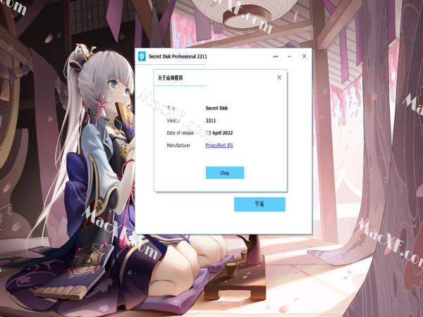 Secret Disk Pro(硬盘加密工具)v2022.12破解版