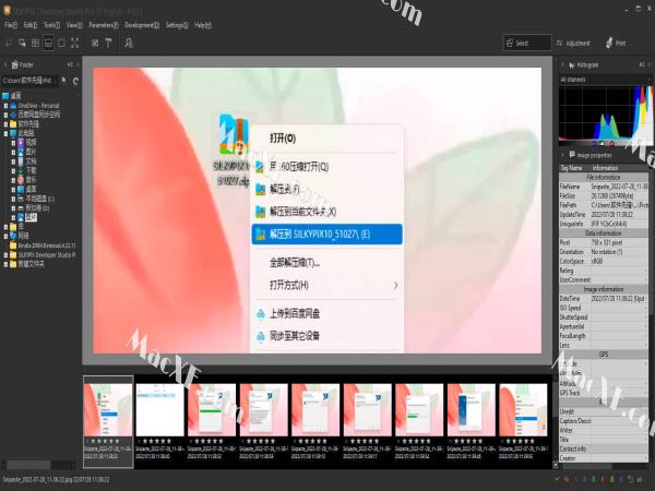 SILKYPIX Developer Studio Pro 10(RAW数码照片处理软件)v10.0.1破解版