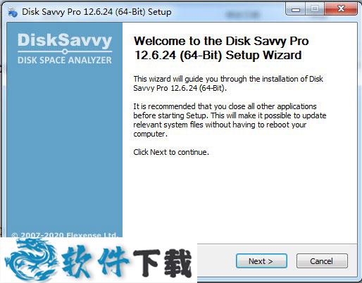 Disk Savvy Pro破解版