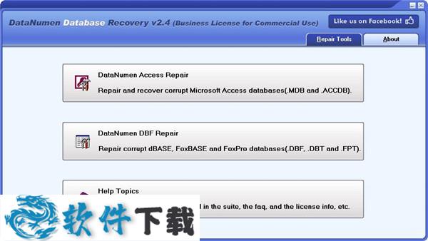 DataNumen Database Recovery(数据库恢复工具)破解版