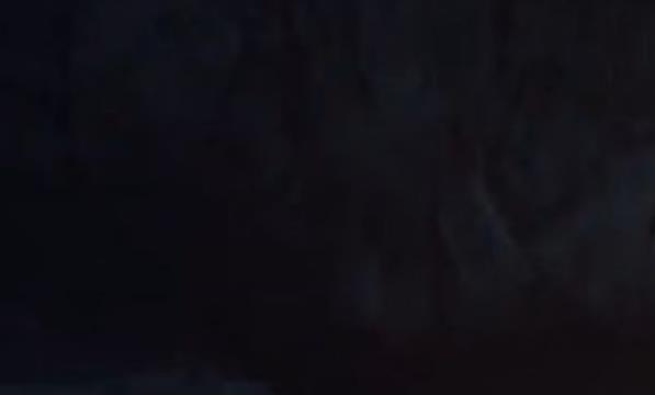 艾尔登法环洞窟苔藓的花苞怎么获得