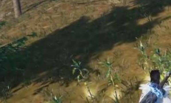 太荒初境甘蔗怎么获得