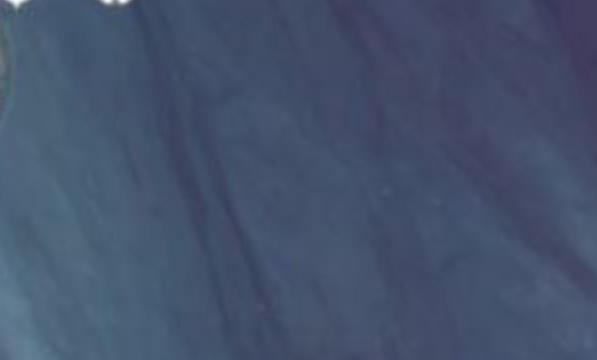 原神任务层岩菌类调查任务怎么完成