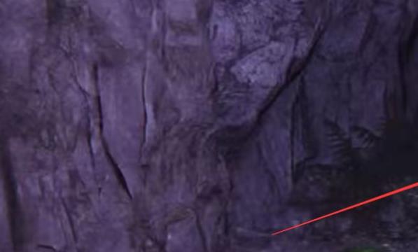 老友环如何获取皮革手套