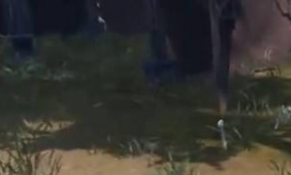 太荒初境噬火粘液怎么获得