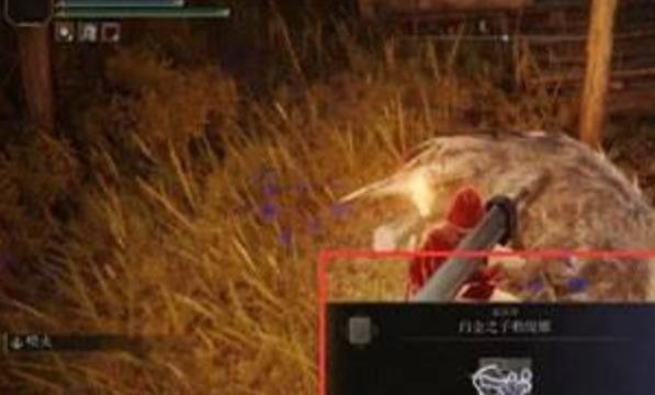 艾尔登法环白金之子骨灰怎么获得