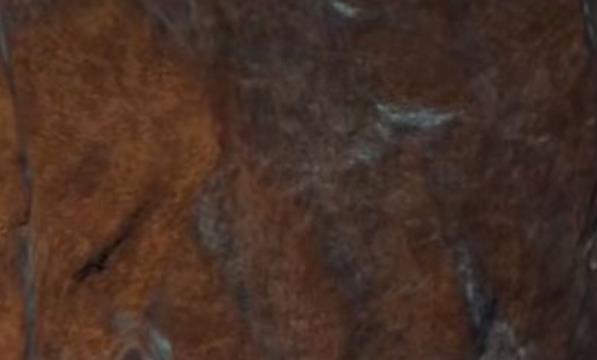 艾尔登法环怎么获得泥人鱼叉