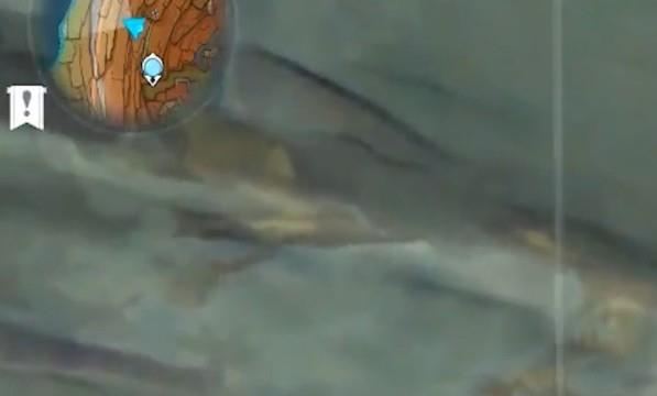 原神远眺之花在哪