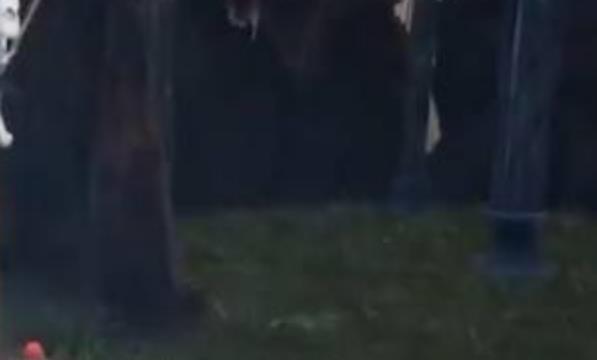 太荒初境噬火粘液怎么获得