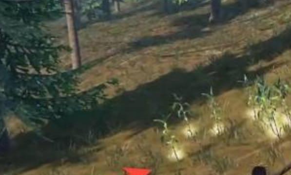 太荒初境甘蔗怎么获得