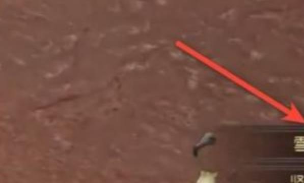 太荒初境雪渊爪怎么获得